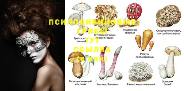 COCAINE Михайловка
